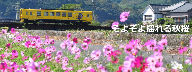 2017年10月の表紙