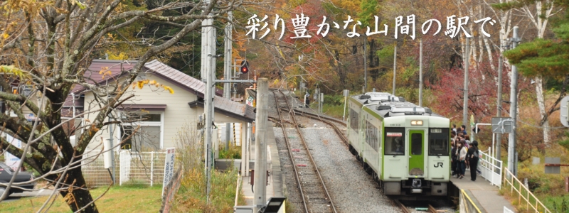 2017年11月の表紙