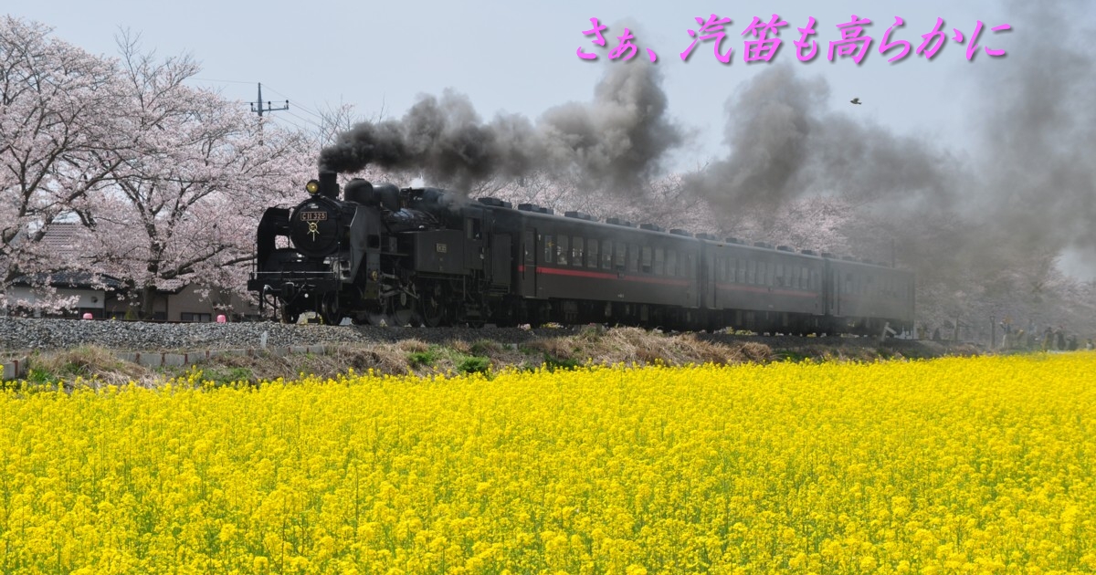 2019年4月の表紙