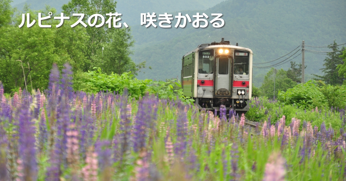 2019年6月の表紙