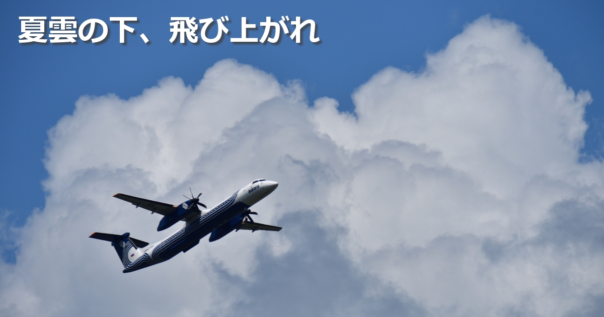 2019年8月の表紙