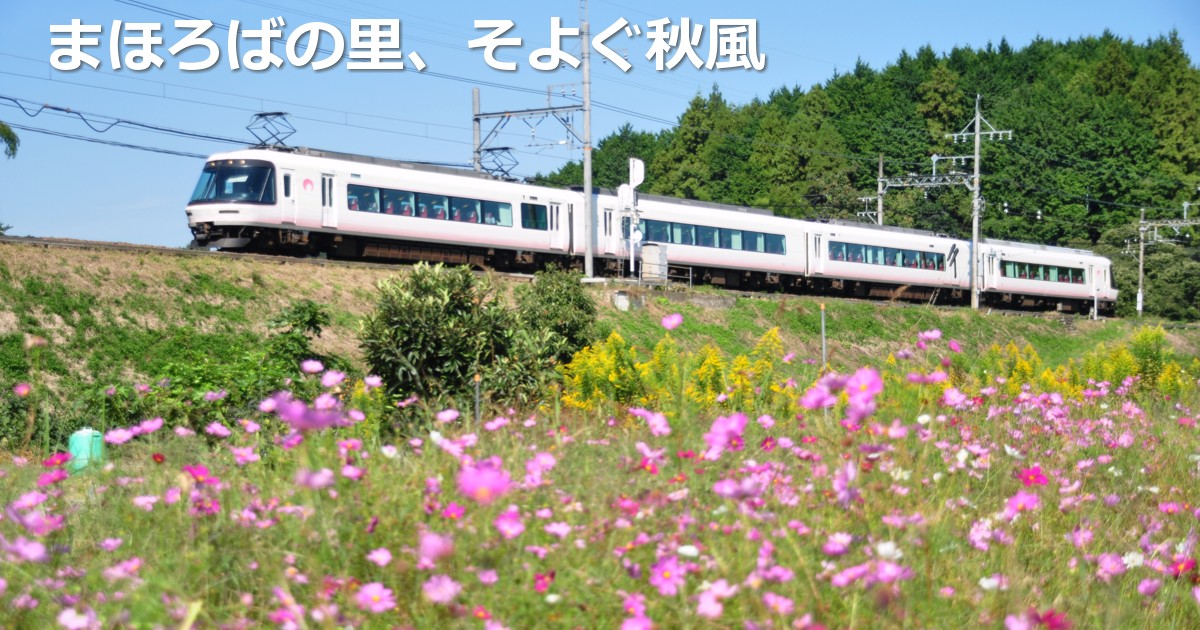 2019年10月の表紙