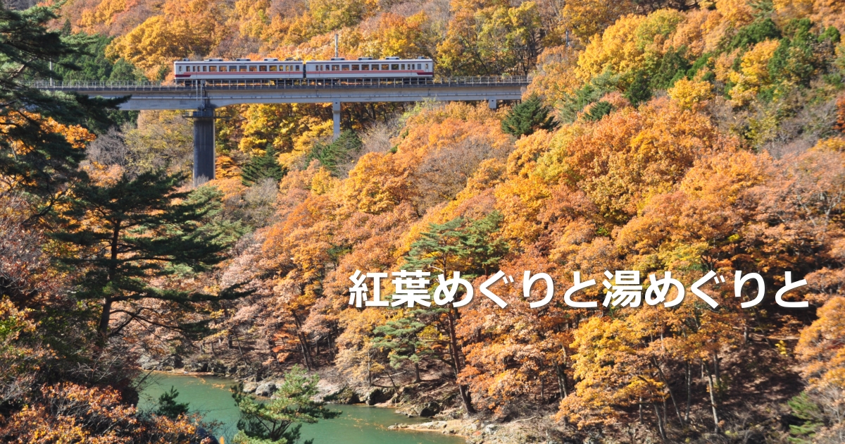 2019年11月の表紙