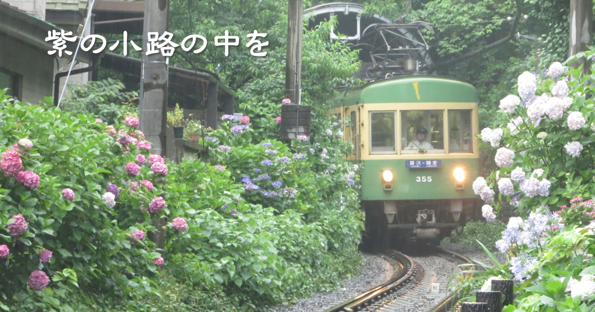 2020年6月の表紙