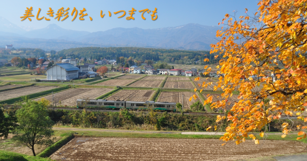 2020年11月の表紙