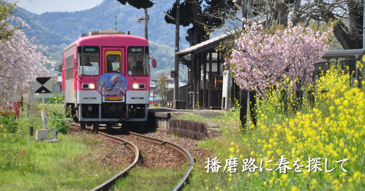 2021年3月の表紙