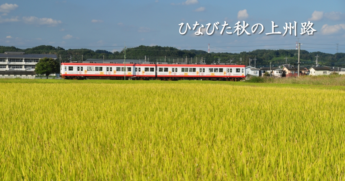 2021年9月の表紙