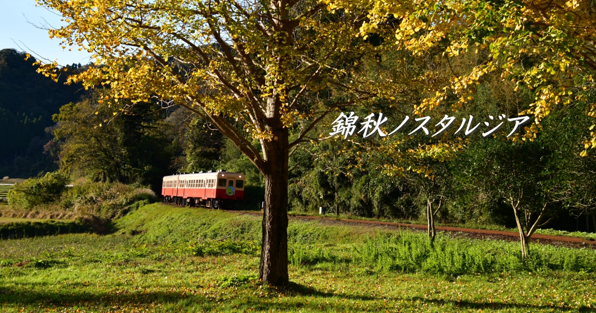 2021年11月の表紙