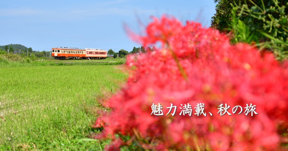 2023年10月の表紙