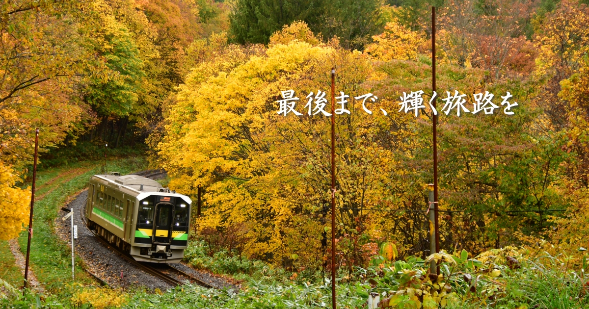 2023年11月の表紙