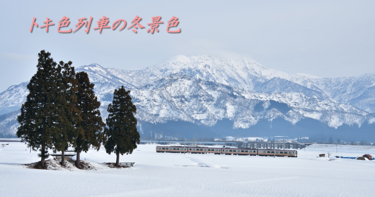 2024年1月の表紙