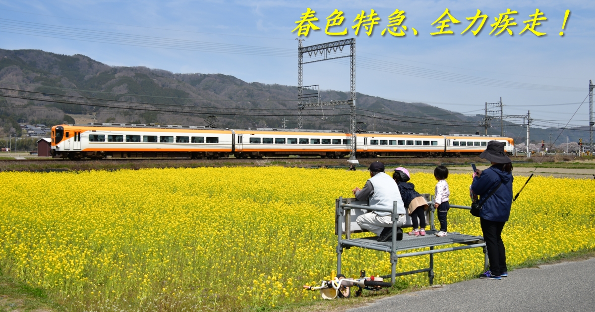 2024年3月の表紙