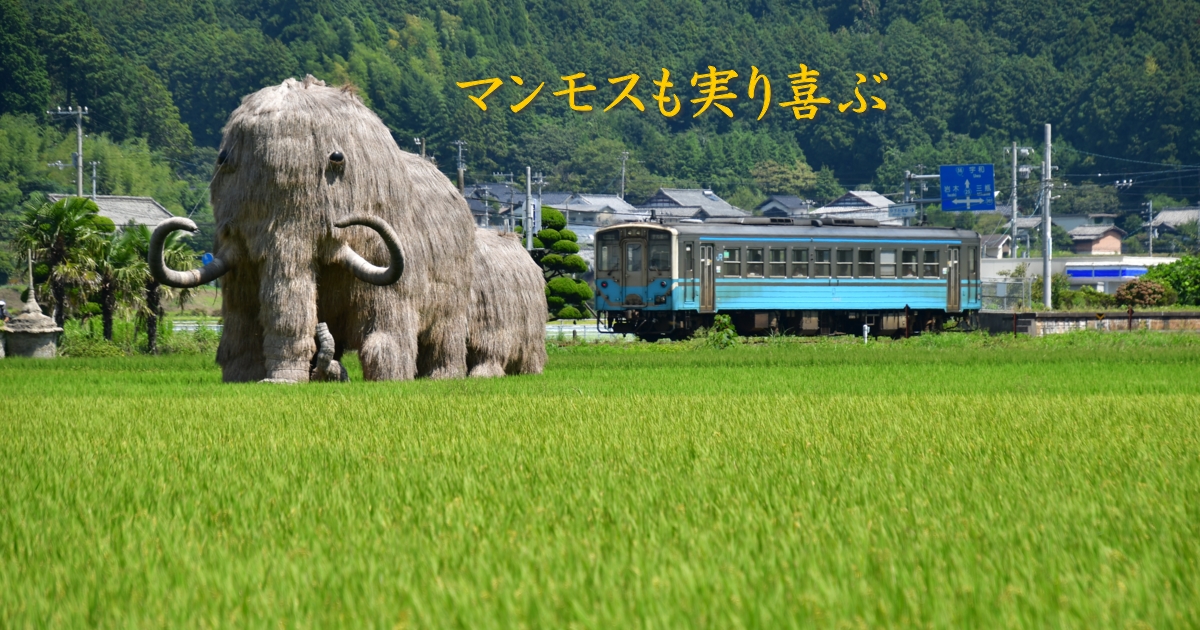 2024年9月の表紙