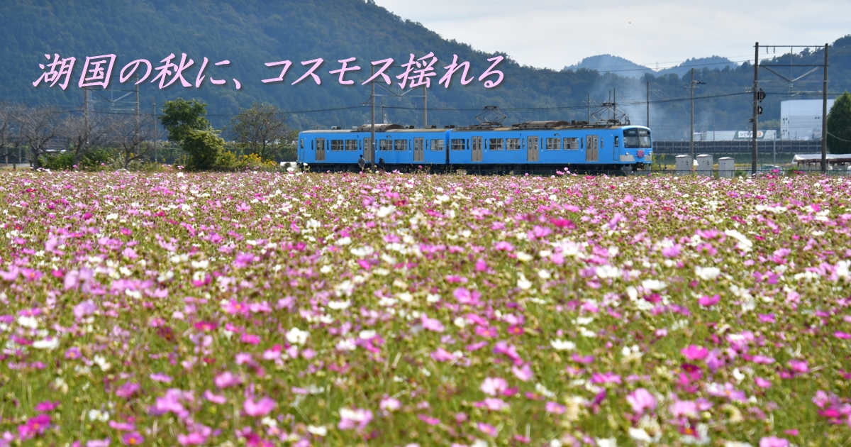 2024年10月の表紙