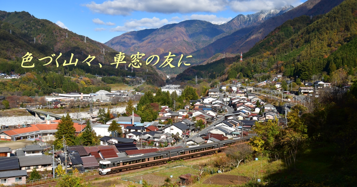 2024年11月の表紙