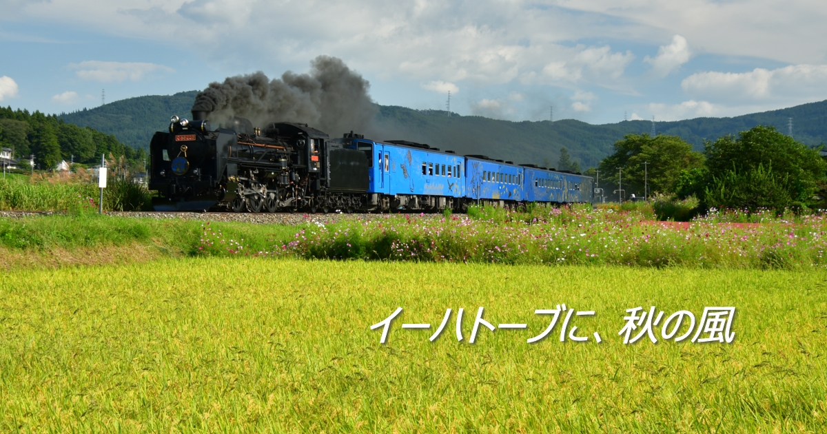 2025年10月の表紙