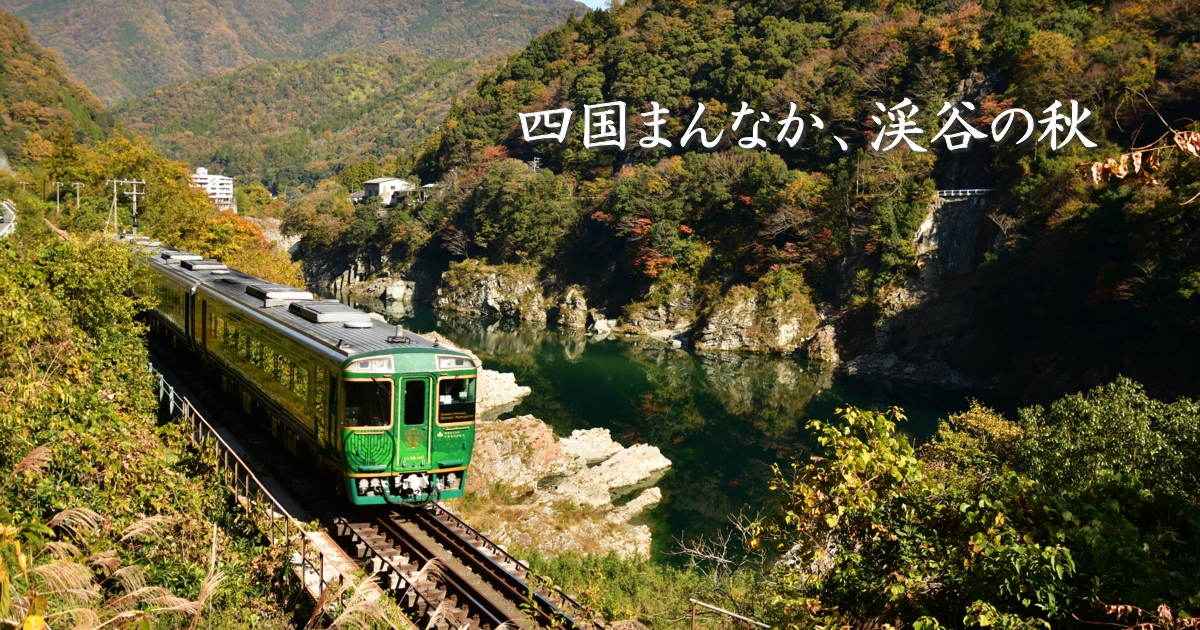 2025年11月の表紙