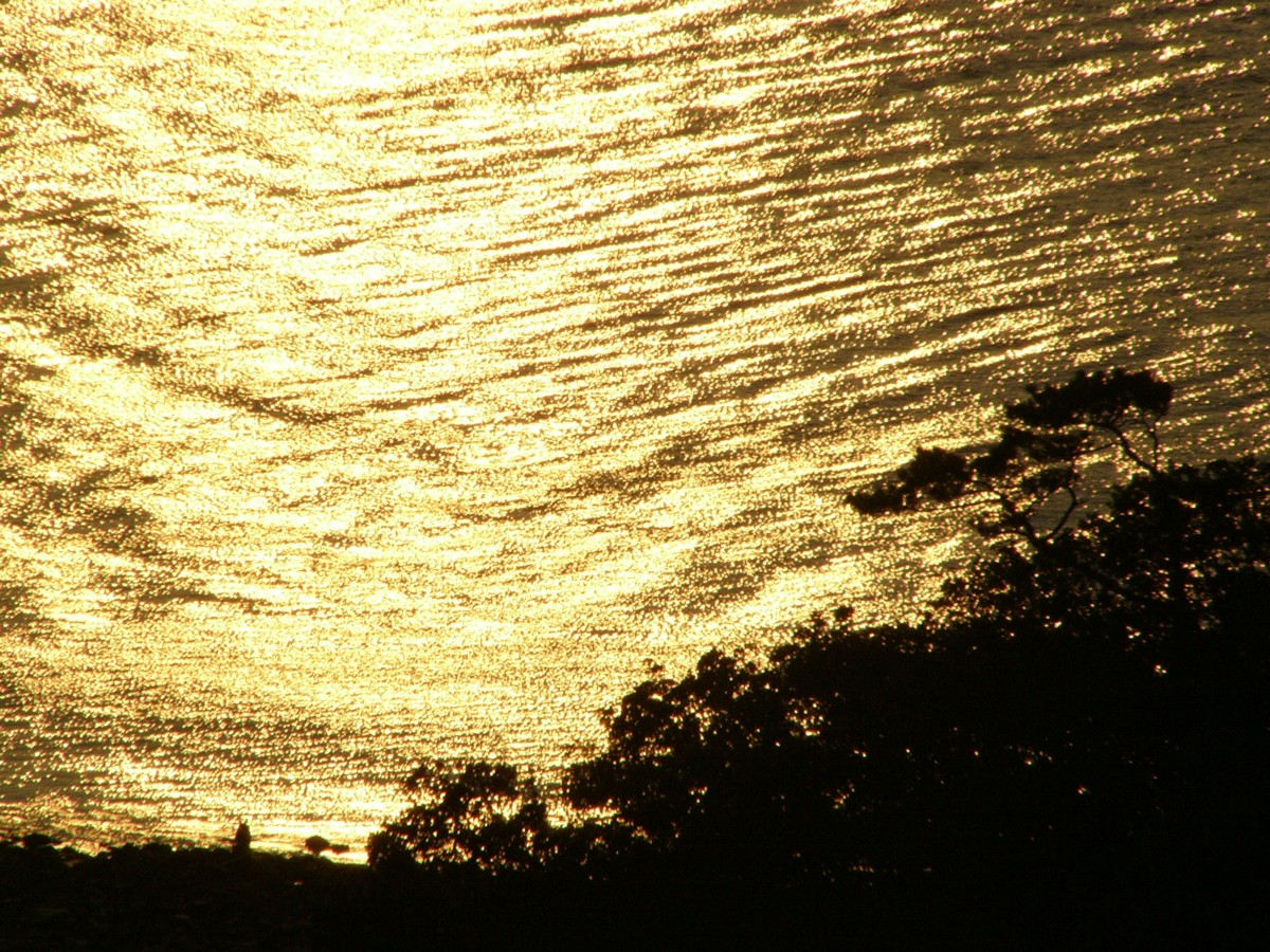 撮影・夜景・鳴門公園