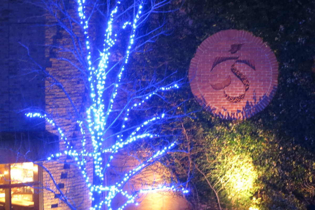 撮影・夜景・晴海