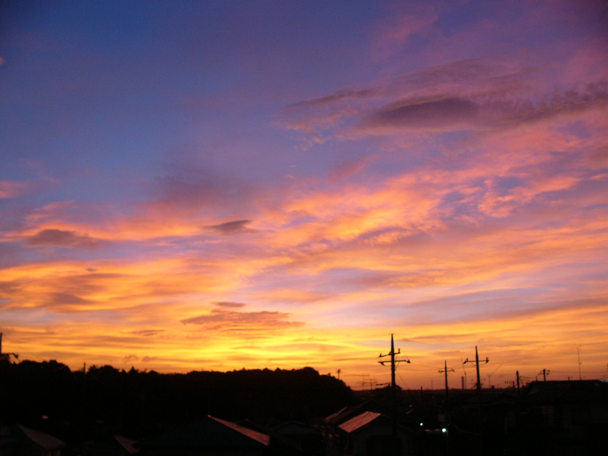 撮影・夜景・流山