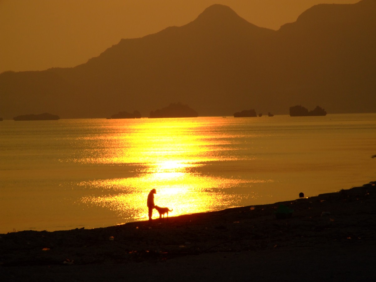 撮影・夜景・沖縄
