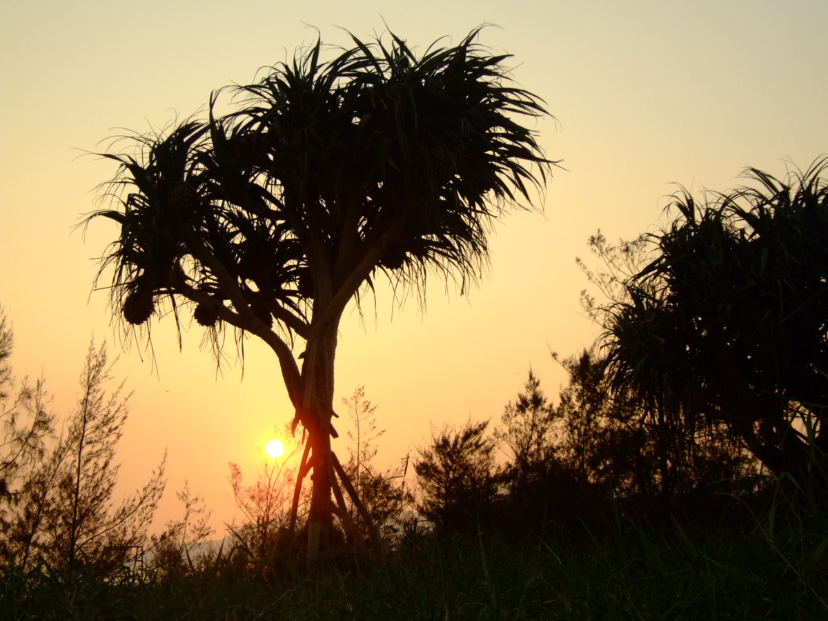 撮影・夜景・沖縄