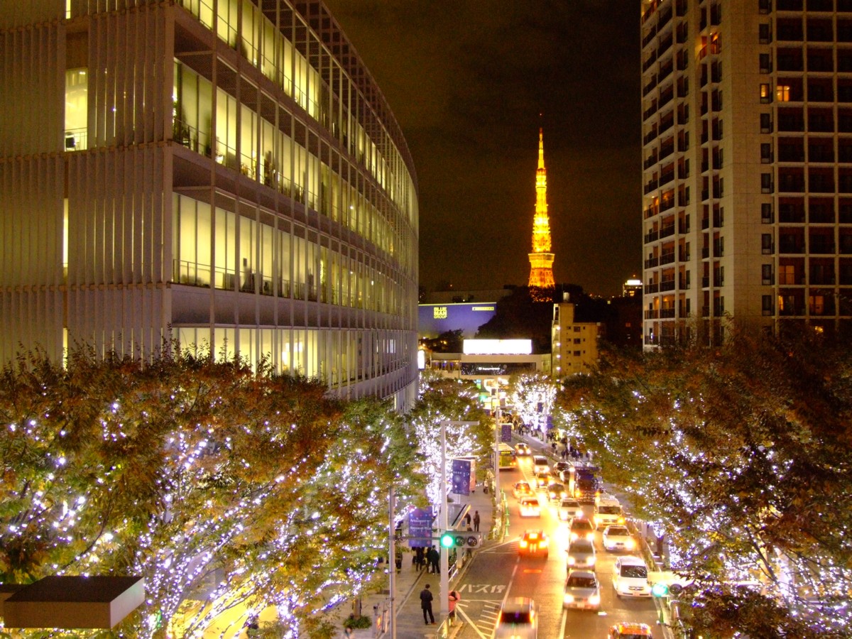 撮影・夜景・六本木ヒルズ