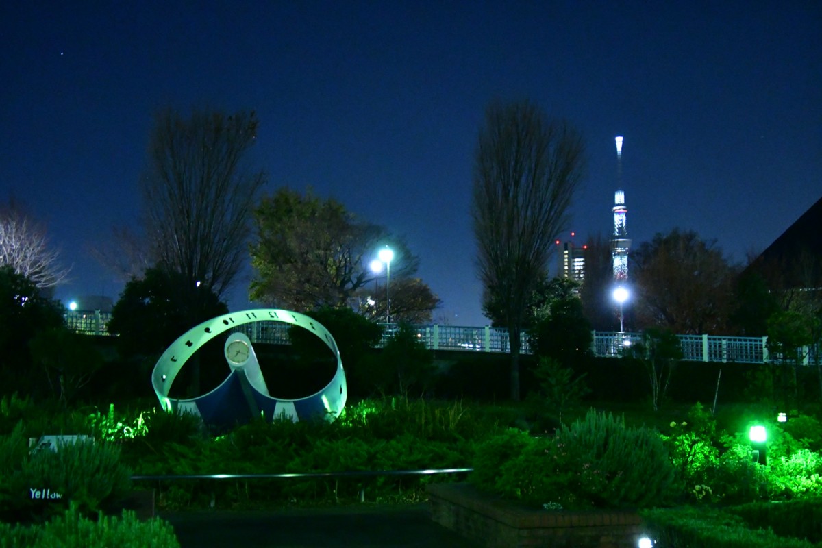 撮影・夜景・東京スカイツリー・汐入公園