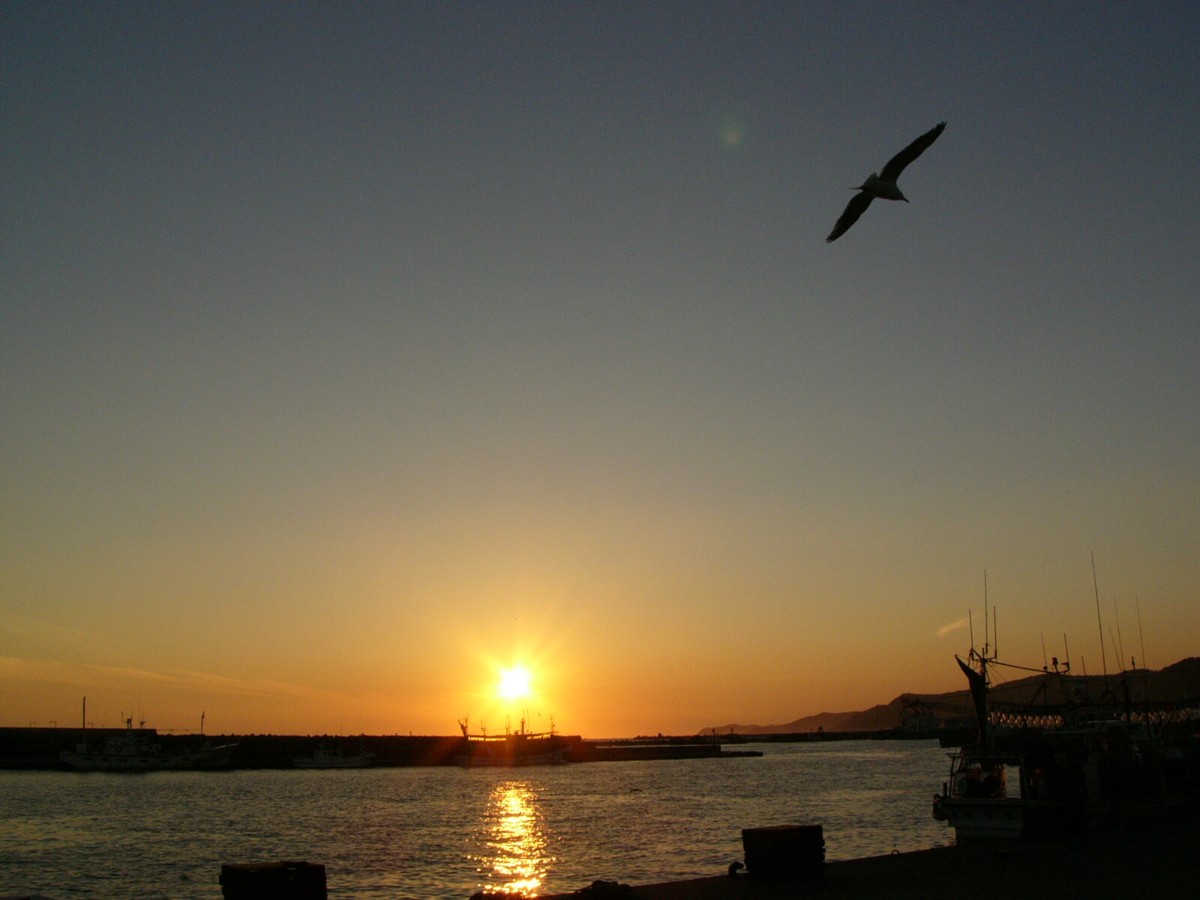 撮影・夜景・浦河
