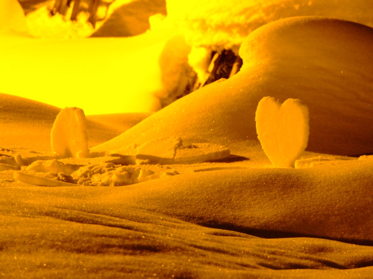 撮影・夜景・米沢上杉雪灯籠祭り